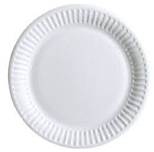 disposable plate_3
