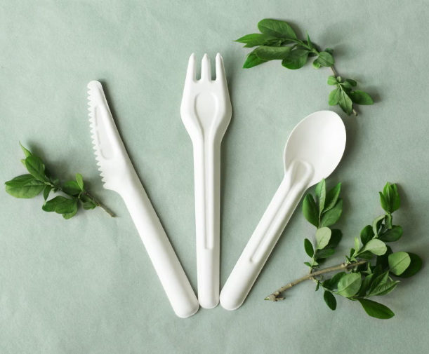Disposable Cutlery_29