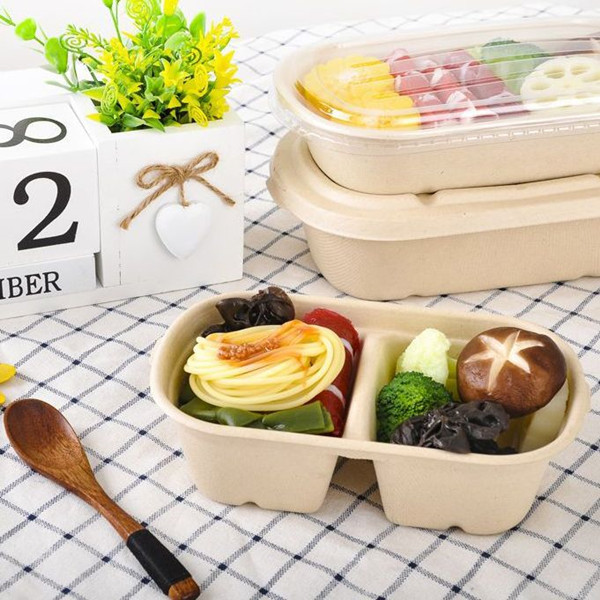 Disposable Food Containers