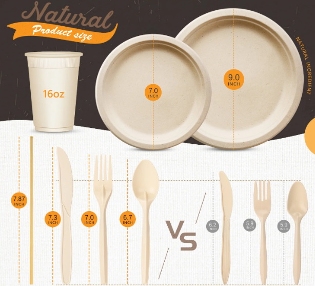 Disposable Plate And Spoon Sets_3