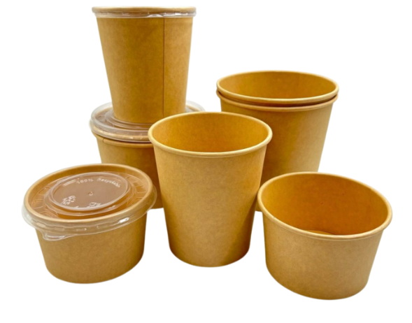 Disposable Paper Bowls with Lids_2