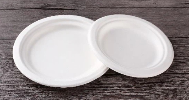 Disposable Dessert Plates_1