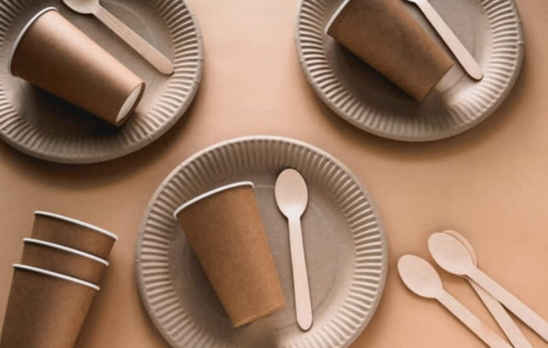 How To Choose The Right Disposable Tableware Brand?