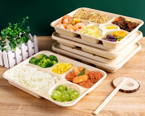 Disposable Lunch Box India Supplier