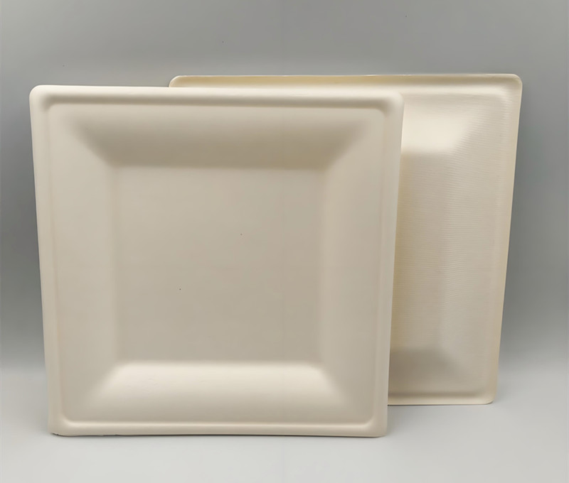 disposable trays