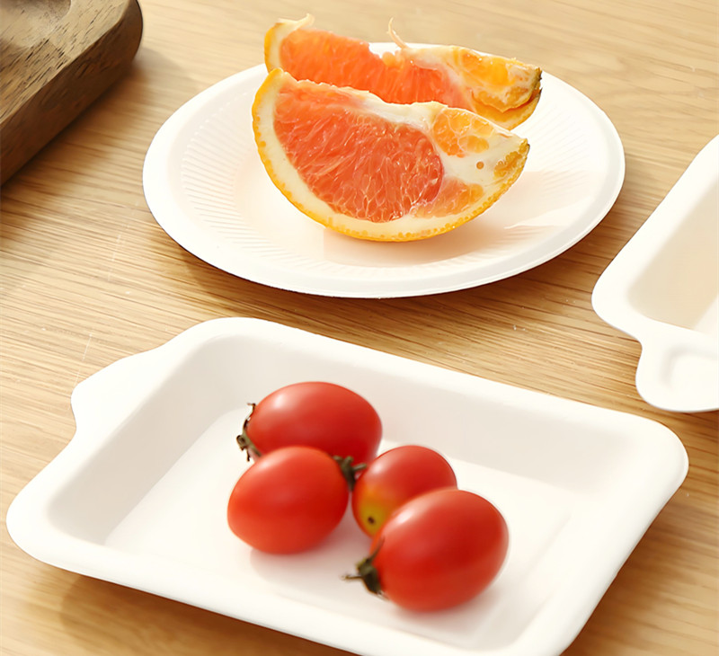 custom paper plate