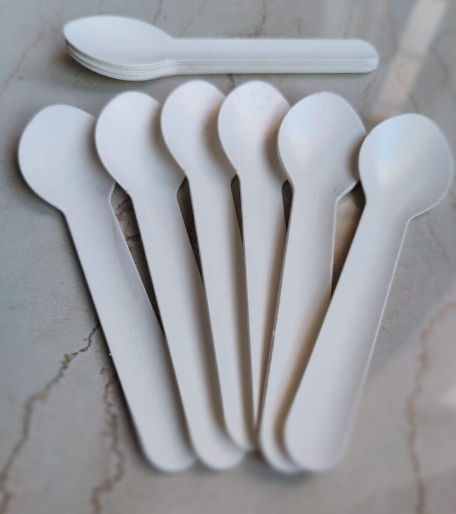 Disposable Plastic Spoon_3