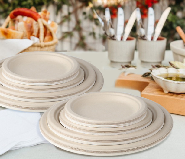 White Disposable Plates_2