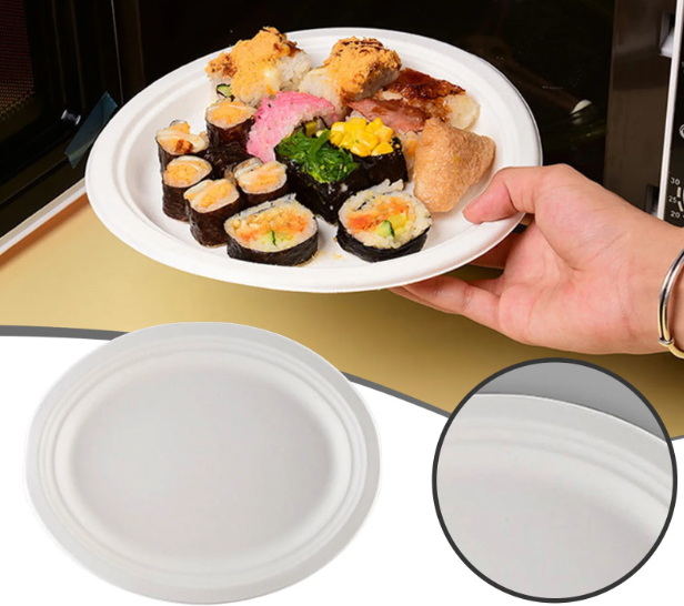 Are White Paper Disposable Plates Strong Enough for Heavy Meals?