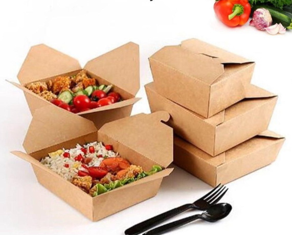 Disposable Lunch Box_26