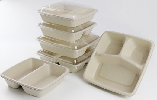 Biodegradable Container Box vs Plastic Container: What's the Real Difference?
