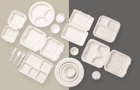 Biodegradable Clamshell Box Vs Plastic: A Sustainability Showdown