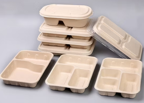 Bamboo Fiber Container Box Vs Sugarcane Pulp Container Box: Pros And ...