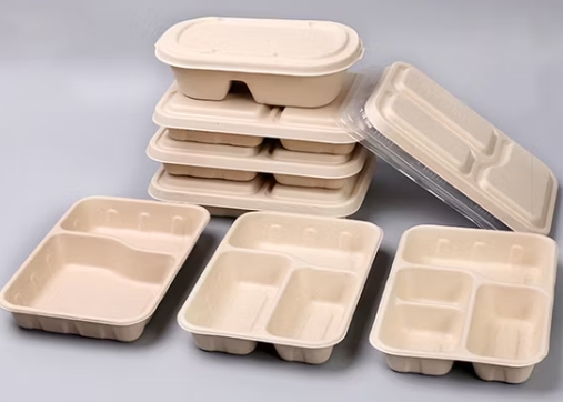 Bamboo Fiber Container Box Vs Sugarcane Pulp Container Box: Pros And Cons