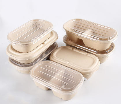 Top Disposable Bento Box Manufacturers And Suppliers in Netherlands.jpg