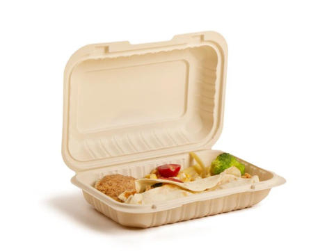 Top Disposable Bento Box Manufacturers And Suppliers in Russia.jpg