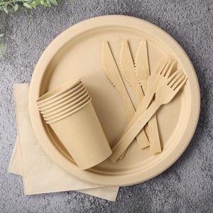Plant-Based Disposable Dishes
