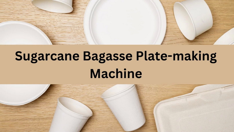 Make Disposable Plates From Sugarcane Waste_3