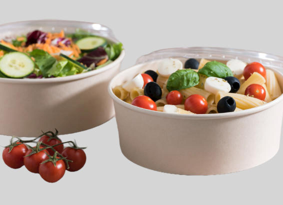 Paper Bowl Suppliers Germany Paper Bowl Suppliers Germany