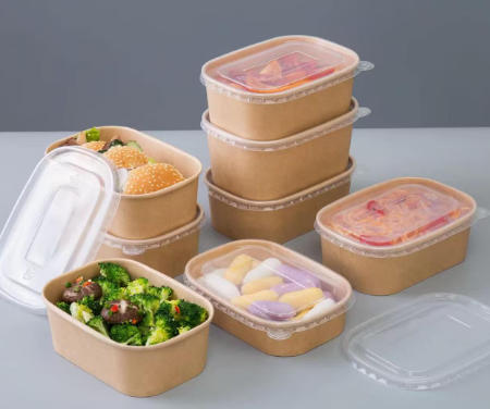 Paper Lunch Box Factory In Russia