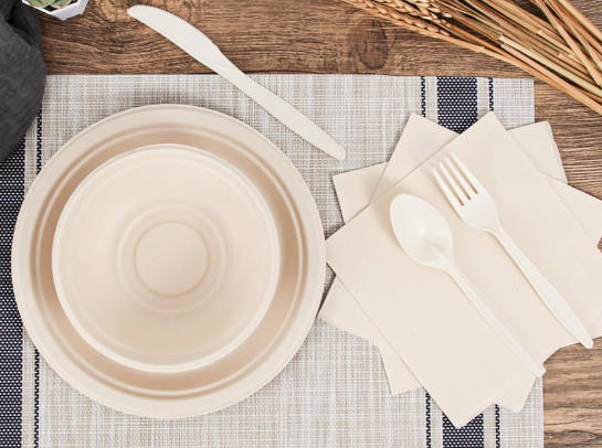Top Disposable Dinnerware Manufacturers And Suppliers in Europe.jpg