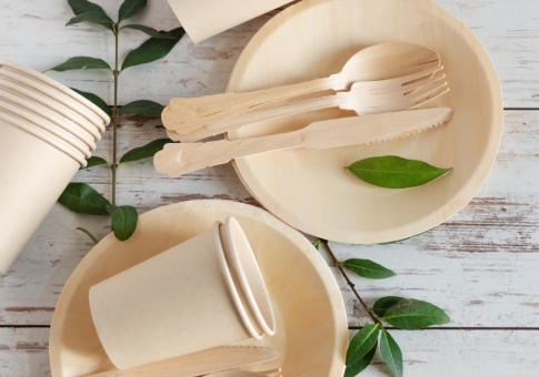Biodegradable Dinnerware Philippines