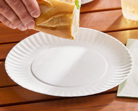 Top Paper Plate Manufacturers And Suppliers in Italy