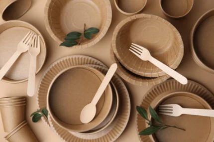 Disposable Food Packaging And Tableware Suppliers In Philippines