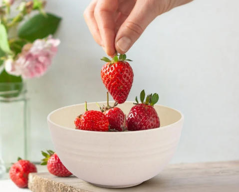 Top Fiber Bowl Manufacturers And Suppliers in Vietnam