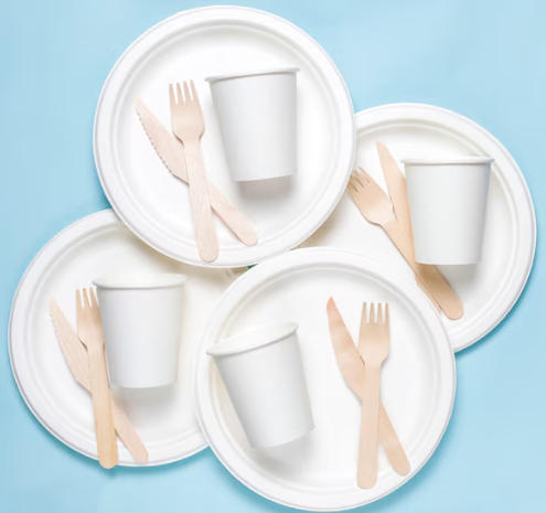 Top Disposable Tableware Manufacturers And Suppliers in Italy
