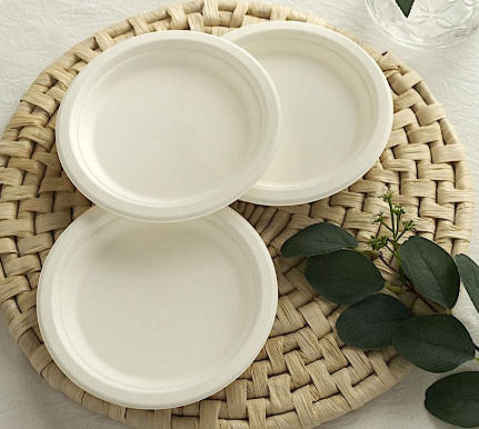Top Disposable Dinnerware Manufacturers And Suppliers in Spain.jpg