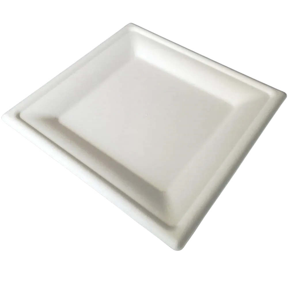 8 Inch Square Plate