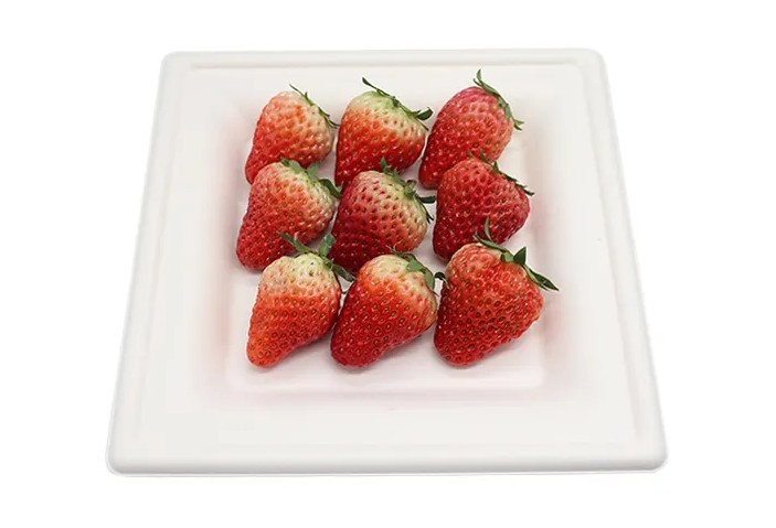 8 Inch Square Plate