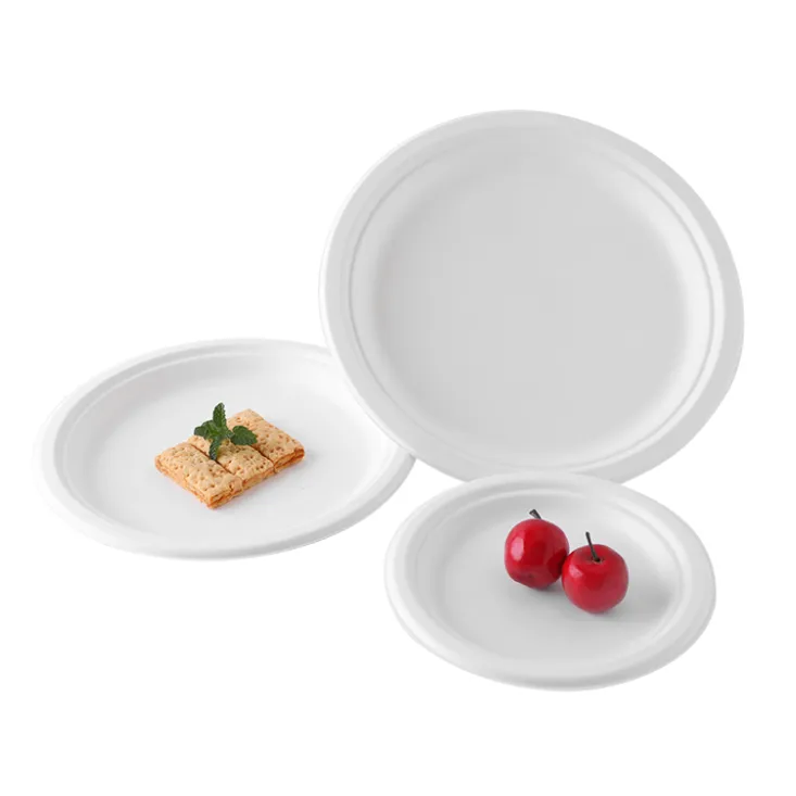 7 Inch Round Plate