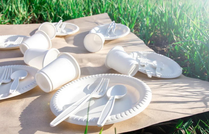 Why Choose A Disposable Sauce Plate for Parties And Events?