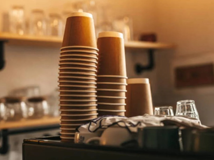 Disposable Cup_3