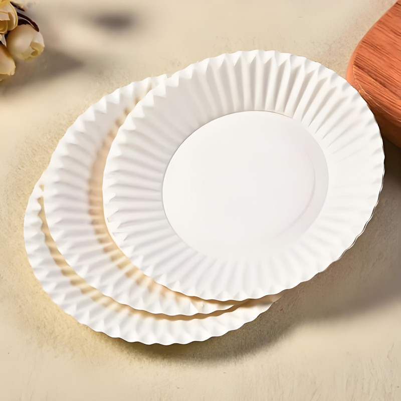 Disposable Plates