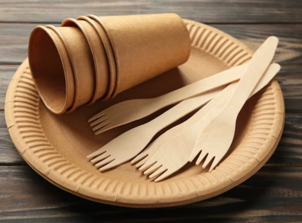 Premium Disposable Tableware_2