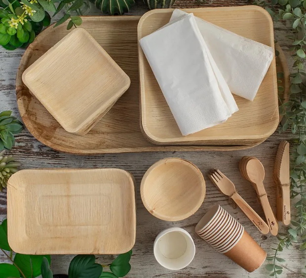 Are There Eco-Friendly Inexpensive Disposable Tableware Options?