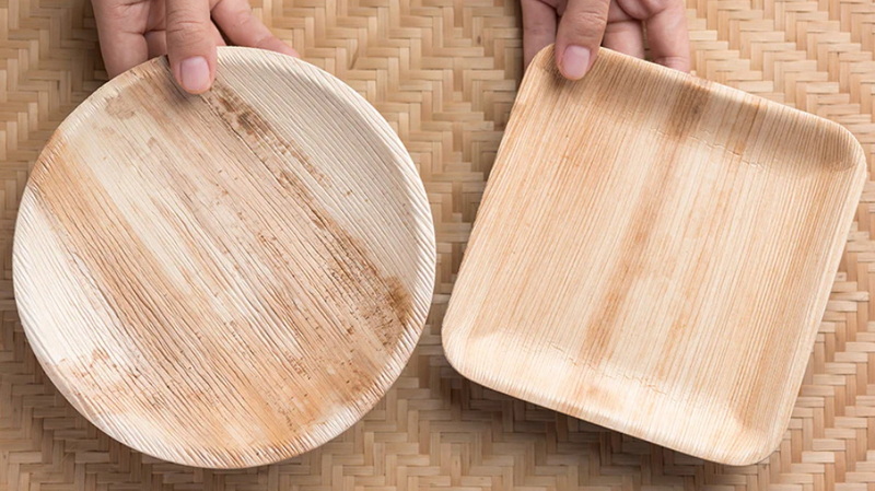 Are Biodegradable Disposable Plates Really Eco-Friendly?