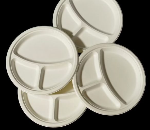 Disposable Dessert Plates_3