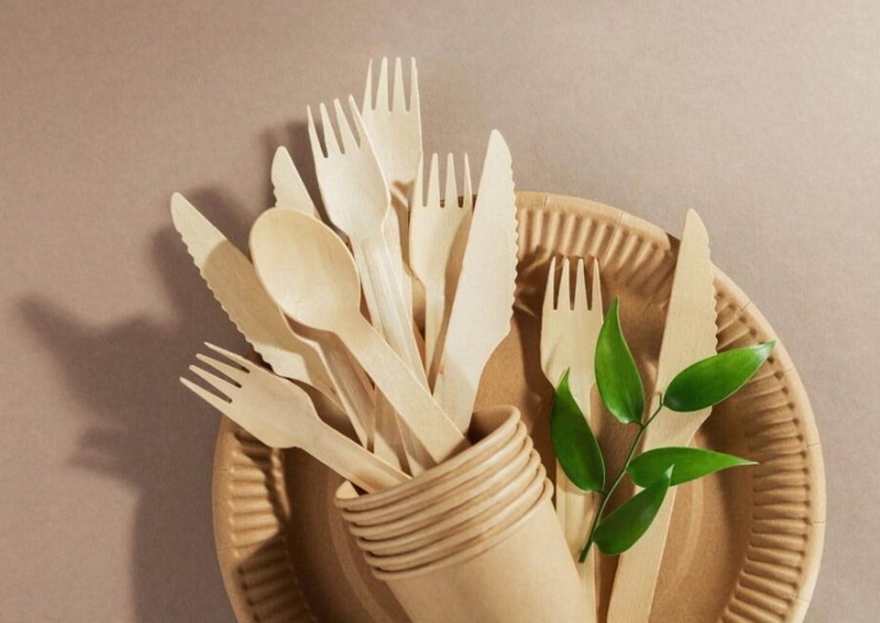 Disposable Tableware_2