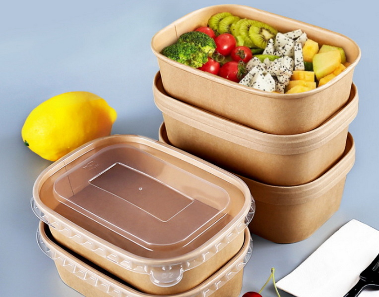disposable lunch box wholesale india