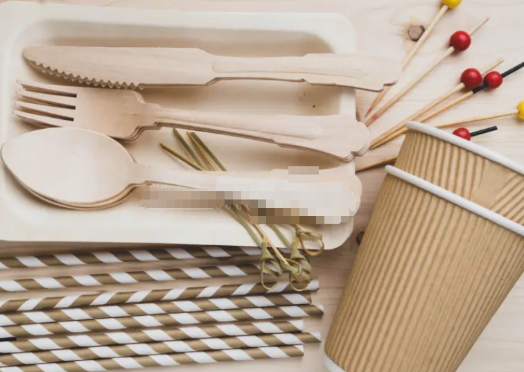 Disposable Cutlery_1