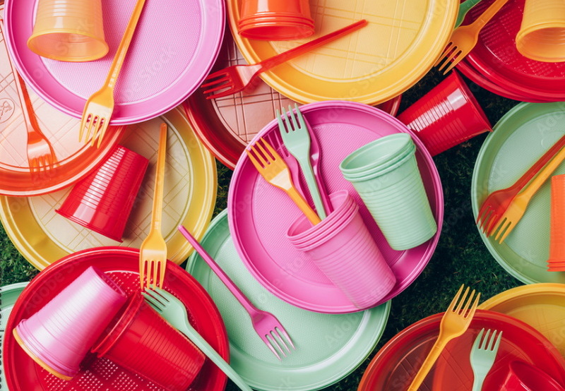 What Disposable Tableware Products Are Ideal for Large Picnic Gatherings?