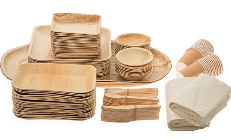 Disposable Tableware_2