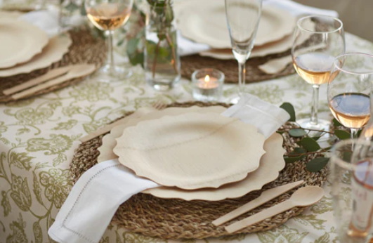 Disposable Tableware_13