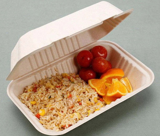 Disposable Bento Boxes_2