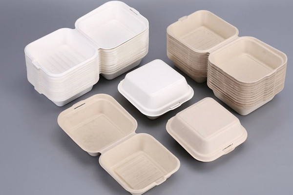 Disposable Container