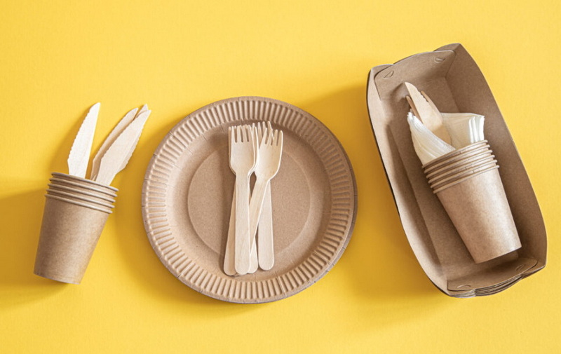 What Are The Best Disposable Eating Utensils Sets With Plates?